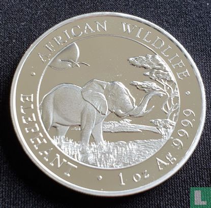 Somalië 100 shillings 2019 (zilver - kleurloos) "Elephant" - Afbeelding 2