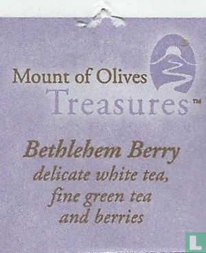 Bethlehem Berry - Afbeelding 3
