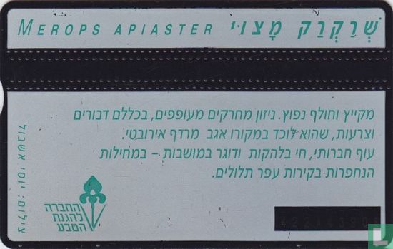 Merops apiaster - Image 2