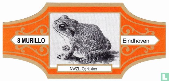 NWZL. Primal Frog - Image 1
