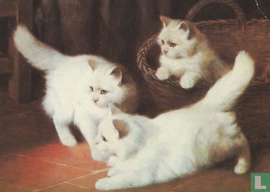 Three white Angora kittens - Image 1