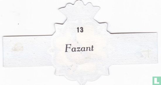 Fazant - Afbeelding 2