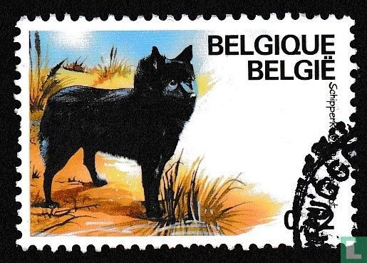 Belgian pedigree dogs