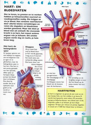 Het menselijk lichaam stickerboek - Afbeelding 3