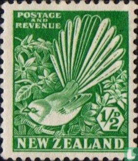 Maori-Fantail - Bild 1