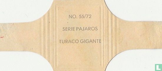 Gigante Turaco - Afbeelding 2