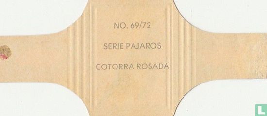 Cotorra Rosada - Image 2