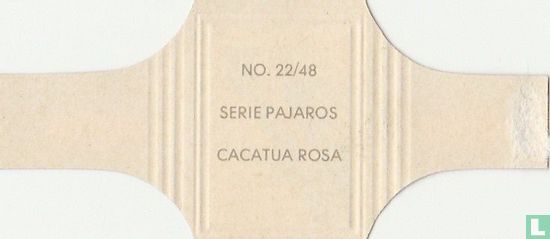 Cacatua Rosa - Afbeelding 2