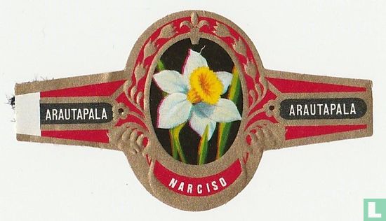 narciso - Afbeelding 1