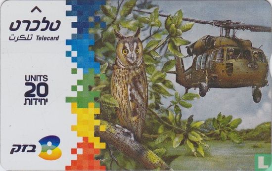 Long Eared Owl - Bild 1