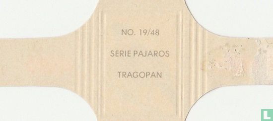 Tragopan - Image 2