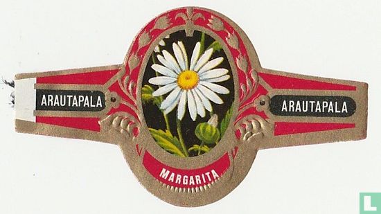 Margarita - Afbeelding 1