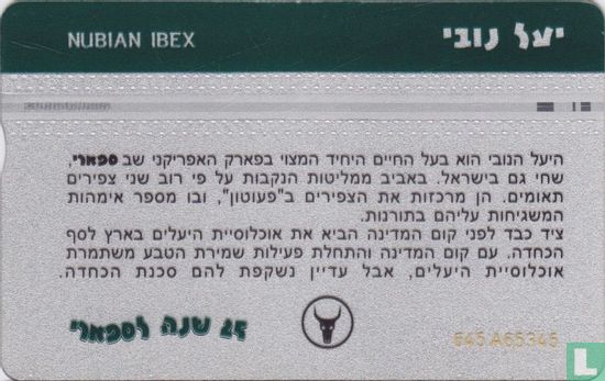 Nubian Ibex - Image 2