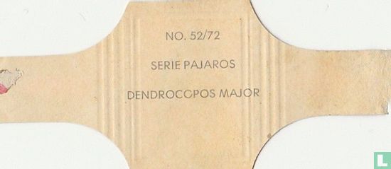 Dendrocopos Major - Image 2