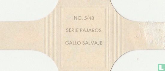 Gallo Salvaje - Afbeelding 2