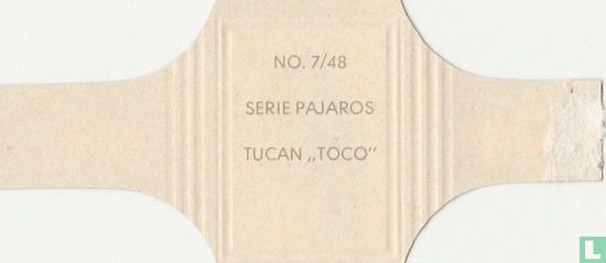 Tucan "Toco" - Bild 2