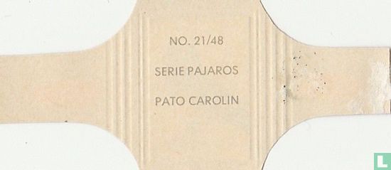 Pato Carolin - Image 2