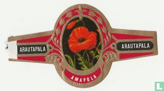 amapola - Afbeelding 1