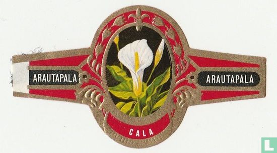 Cala - Image 1