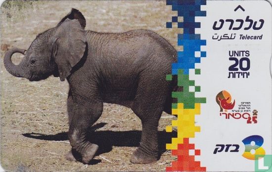 African Elephant - Image 1