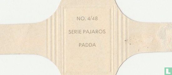 Padda - Image 2