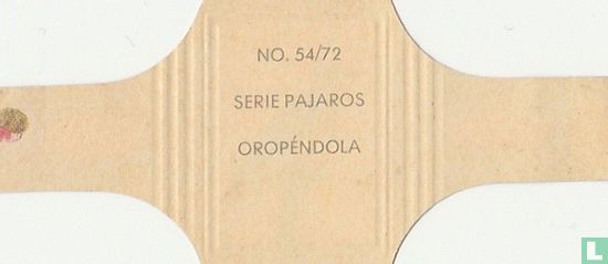 Oropendola - Image 2