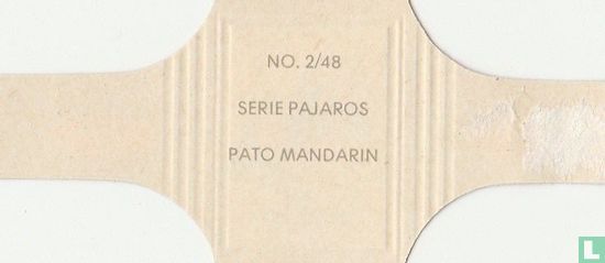 Pato Mandarin - Image 2