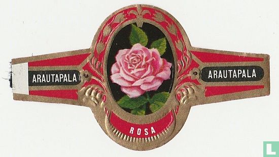 Rosa - Afbeelding 1