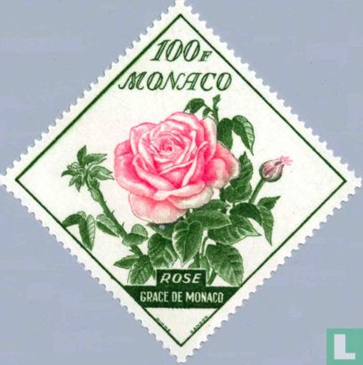 Rose "Grace de Monaco"