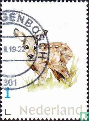 Niederländische Säugetiere - Hirsche