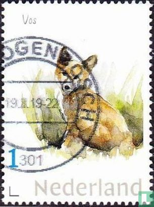 Niederländische Säugetiere - Fuchs