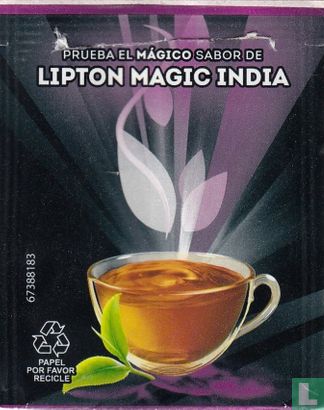 Magic India - Bild 2