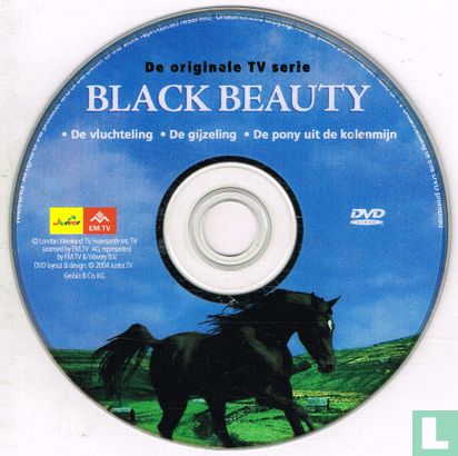 Black Beauty 1 - Image 3