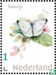 Dutch Butterflies - Cabbage White