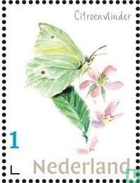 Niederländische Schmetterlinge - Zitronenfalter