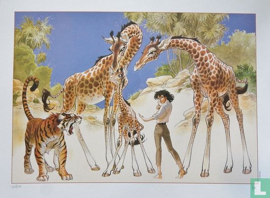 Manon et les giraffes