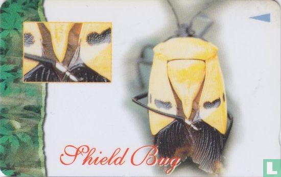 Shield Bug - Bild 1