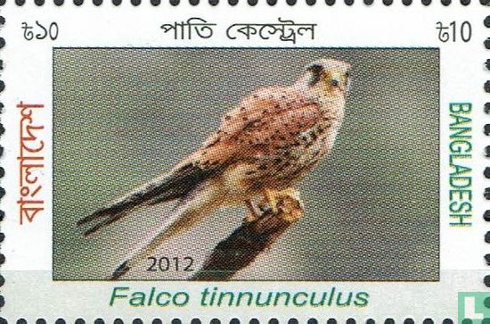 Oiseaux migrateurs