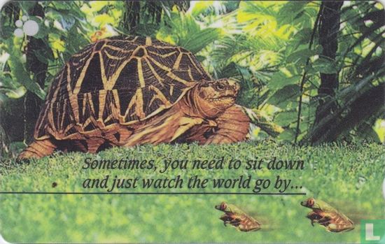 Sometimes, you need to sit down... - Image 1