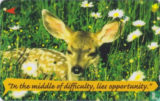 In the middle of difficulty, lies opportunity - Afbeelding 1