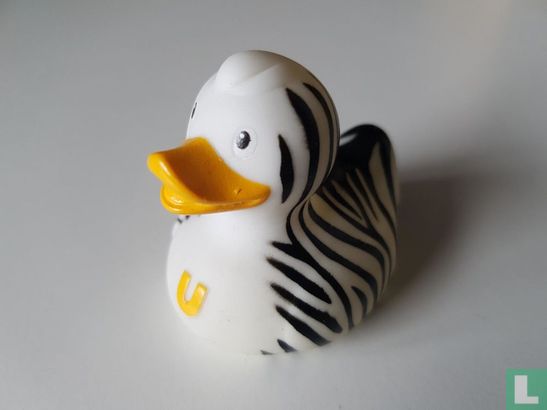 Mini Zebra Duck