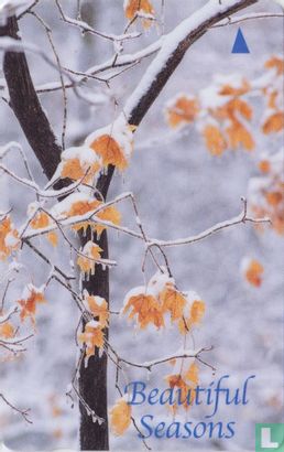 Beautiful Seasons - Image 1