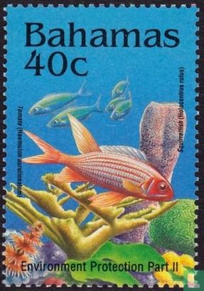 Tomate and long-spined Squirrelfish