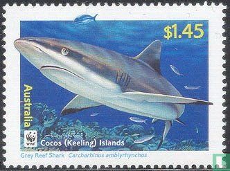 WWF requins