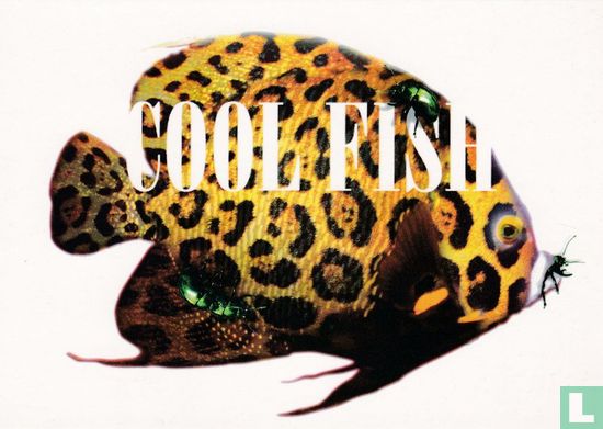 Petr Radotínský "Cool Fish" - Afbeelding 1