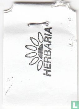 Gourmet - Afbeelding 3