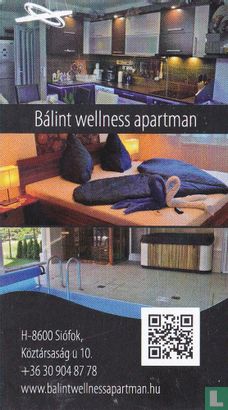 Bálint wellness apartman - Image 1