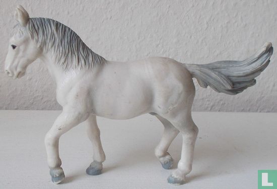 Lippizaner stallion