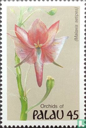 Orchideeën  