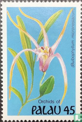 Orchideeën    